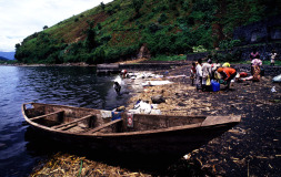 africa8