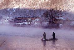 Bosnia 1995-1996 Archives