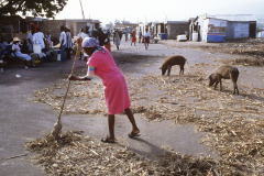 Haiti 1996