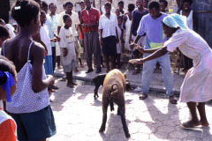 Haiti 1996