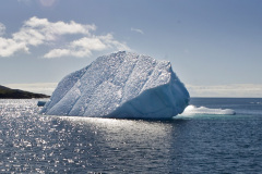 Icebergs-11