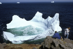 (GSL64-030199) ST.JOHN'S, NEWFOUNDLAND, CANADA. 1998 FILE -- NEWFOUNDALAND TRAVEL & TOURISM --Spring time Icebergs and marine wildlife are a major part of  the adventure tourism program being promoted by the Province of Newfoundland and Labrador in an effort to attract those who travel for the outdoors experience. Sea Kayaking, wilderness camping, hunting, fishing, rock climbing and back woods hiking are all a part of the provinces tourism promotion program.  Photo By: (C )GREG LOCKE/PICTUREDESK INTERNATIONAL 1999