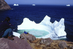 Icebergs off the coast of Newfoundland near St. John's, Newfoundland., Photo by Greg Locke © 2009 Copyright.