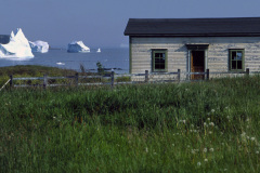 House and icebergs, Witless Bay, Newfoundland, Photo by Greg Locke © 2009 Copyright.