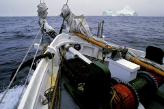 Icebergs-29 Icebergs-29
