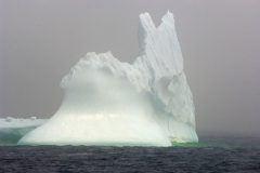 Iceberg in Ferryland, Photo by Greg Locke © 2009 Copyright.