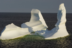 Iceberg, Photo by Greg Locke © 2009 Copyright.