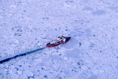 (020212-GSL01.jpg) ST.JOHN'S, NEWFOUNDLAND.  12FEB02 -- SEA ICE ON LABRADOR COAST --The Canadian Coast Guard icebreake,r Sir John Franklin, cuts through sea ice on the labrador coast. Heavy pack ice jams the coast of Labrador north of the island of Newfoundland. The heavy ice, which can be up to 100 km thick shuts down shipping and disrupts fishing operations around the Newfoundland and Labrador.The ice flows south from Baffin Bay on the Labrador current. Photo by GREG LOCKE/PictureDesk International  --COPYRIGHT (C) 2000.--ONE TIME USE ONLY. NO ELECTRONIC ARCHIVING PERMITTED. NO THIRD PARTY DISTRIBUTION.