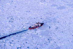 (020212-GSL01.jpg) ST.JOHN'S, NEWFOUNDLAND. 12FEB02 -- SEA ICE ON LABRADOR COAST --The Canadian Coast Guard icebreake,r Sir John Franklin, cuts through sea ice on the labrador coast. Heavy pack ice jams the coast of Labrador north of the island of Newfoundland. The heavy ice, which can be up to 100 km thick shuts down shipping and disrupts fishing operations around the Newfoundland and Labrador.The ice flows south from Baffin Bay on the Labrador current. Photo by GREG LOCKE/PictureDesk International --COPYRIGHT (C) 2000.--ONE TIME USE ONLY. NO ELECTRONIC ARCHIVING PERMITTED. NO THIRD PARTY DISTRIBUTION. (020212-GSL01.jpg) ST.JOHN'S, NEWFOUNDLAND. 12FEB02 -- SEA ICE ON LABRADOR COAST --The Canadian Coast Guard icebreake,r Sir John Franklin, cuts through sea ice on the labrador coast. Heavy pack ice jams the coast of Labrador north of the island of Newfoundland. The heavy ice, which can be up to 100 km thick shuts down shipping and disrupts fishing operations around the Newfoundland and Labrador.The ice flows south from Baffin Bay on the Labrador current. Photo by GREG LOCKE/PictureDesk International --COPYRIGHT (C) 2000.--ONE TIME USE ONLY. NO ELECTRONIC ARCHIVING PERMITTED. NO THIRD PARTY DISTRIBUTION.