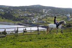 Riding-in-Torbay