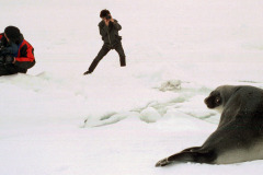 GSL01-200399.JPG
