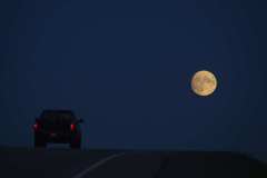 WEB-Gallery__GL41495