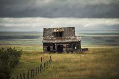 WEB-Gallery__GL42486