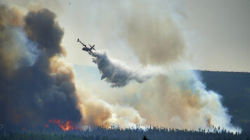 2025 Summer of Wild Fire